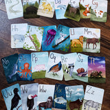 Animal Alphabet Flashcards (Set of 26 Cards)