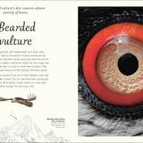 An Anthology of Exquisite Birds (DK Children's Anthologies)
