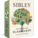 Sibley Tree Identification Flashcards