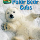 Polar Bear Cubs, Ruth Owen, Paperback