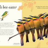 An Anthology of Exquisite Birds (DK Children's Anthologies)