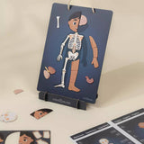 Magnetic Interactive Board – My Body