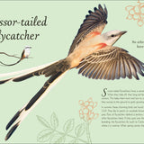 An Anthology of Exquisite Birds (DK Children's Anthologies)