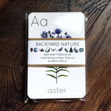 Backyard Nature Alphabet Flashcards (Set of 26 Cards)
