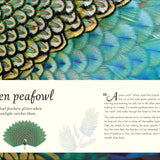 An Anthology of Exquisite Birds (DK Children's Anthologies)