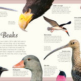 An Anthology of Exquisite Birds (DK Children's Anthologies)