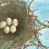 A Nest Is Noisy