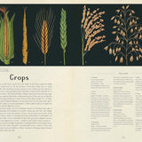 Botanicum: A Welcome to the Museum Book