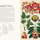 Botanicum: A Welcome to the Museum Book