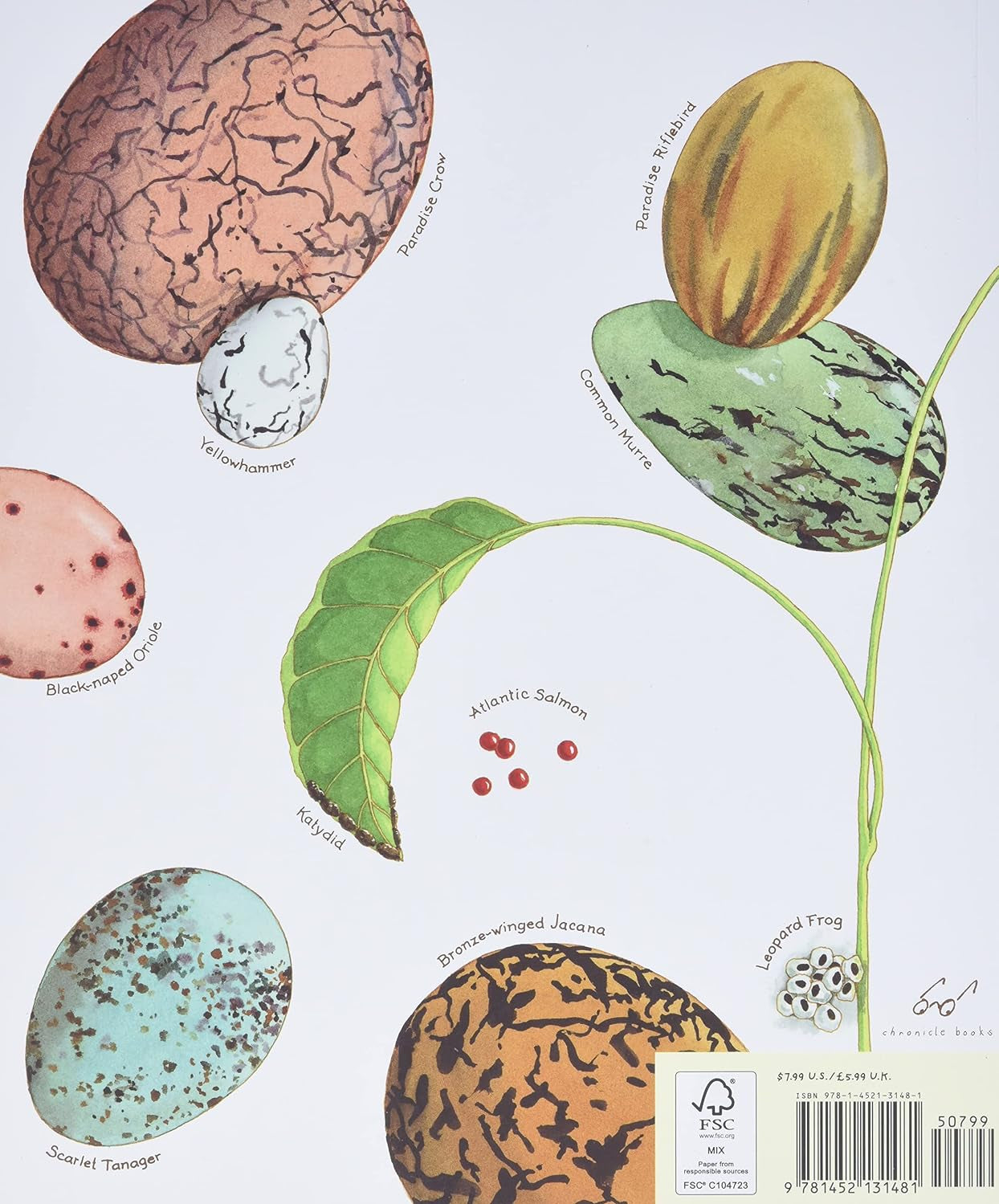 Slide image