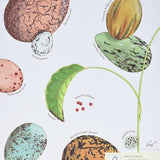 An Egg Is Quiet