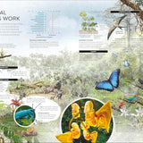 DK Habitats