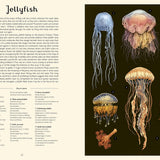 Oceanarium: A Welcome to the Museum Book