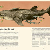 Oceanarium: A Welcome to the Museum Book