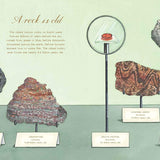 A Rock Is Lively