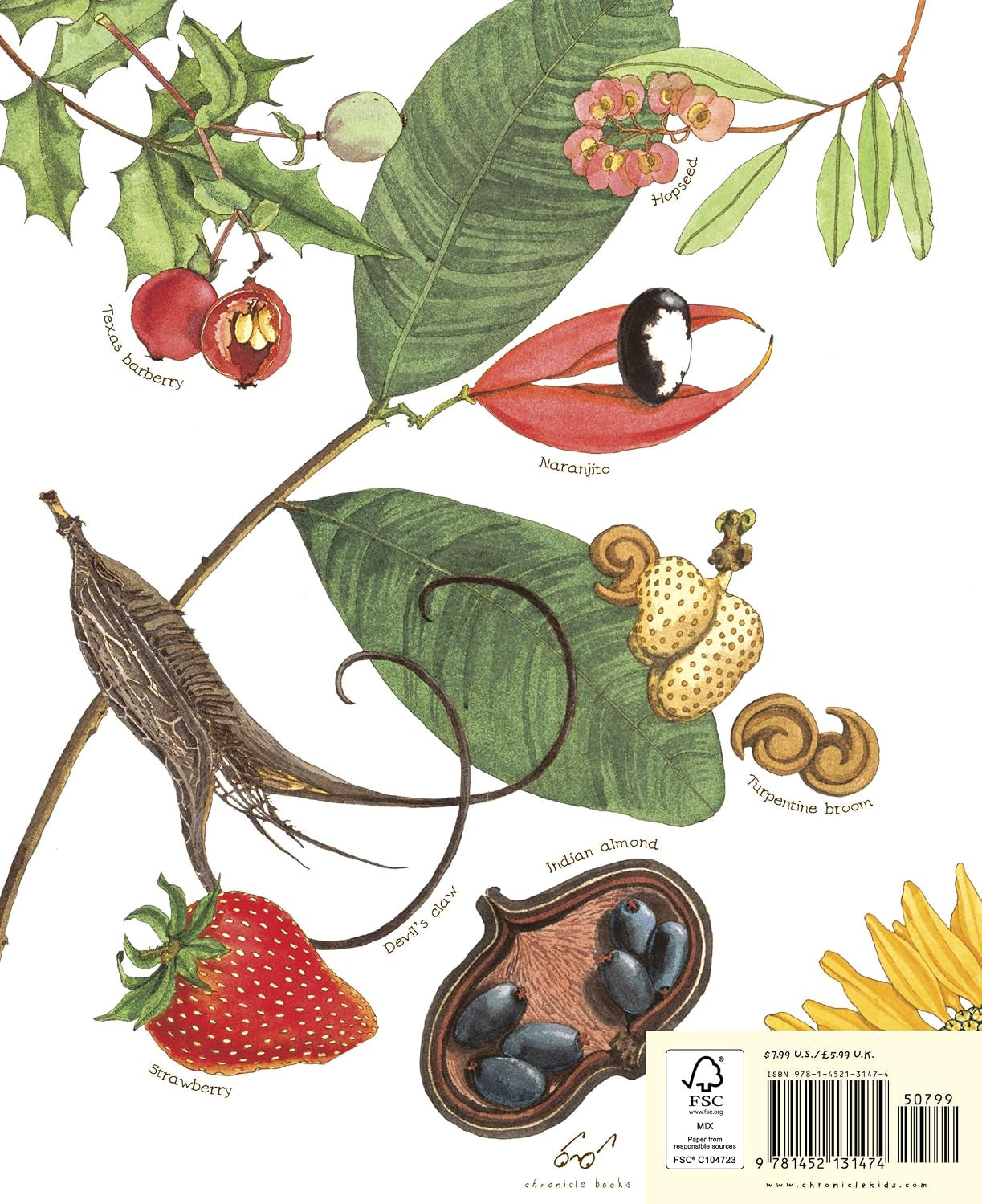 Slide image