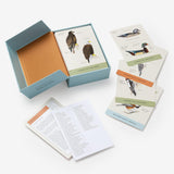 Sibley Backyard Flashcards