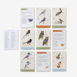 Sibley Backyard Flashcards