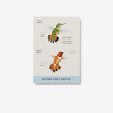 Sibley Backyard Flashcards