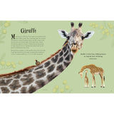 Child Anthologies Collection 1