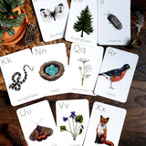 Backyard Nature Alphabet Flashcards (Set of 26 Cards)