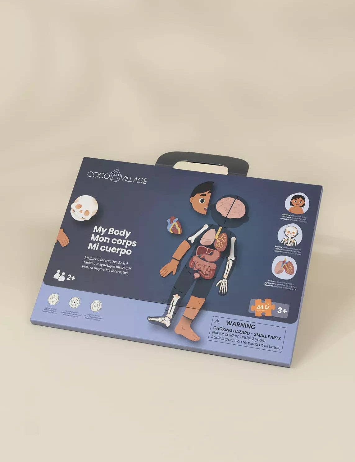 Magnetic Interactive Board – My Body