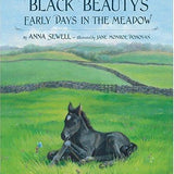 Black Beauty's Early Days in the Meadow, Anna Sewell, Hardcover book cover