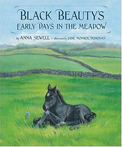 Black Beauty's Early Days in the Meadow, Anna Sewell, Hardcover book cover