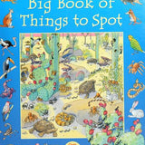 Big Book of Things to Spot, Ruth Brocklehurst, Paperback book cover