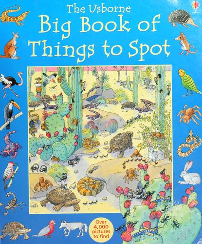 Big Book of Things to Spot, Ruth Brocklehurst, Paperback book cover